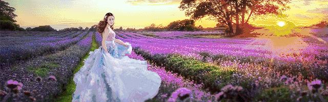 婚纱摄影淡季营销,24年婚纱摄影店如何生存