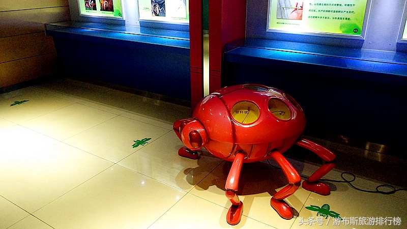 上海昆虫博物馆有哪些昆虫,上海昆虫博物馆照片