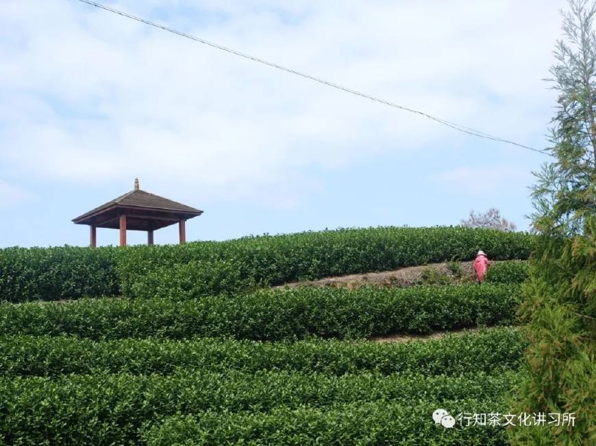 温州问道,温州问界