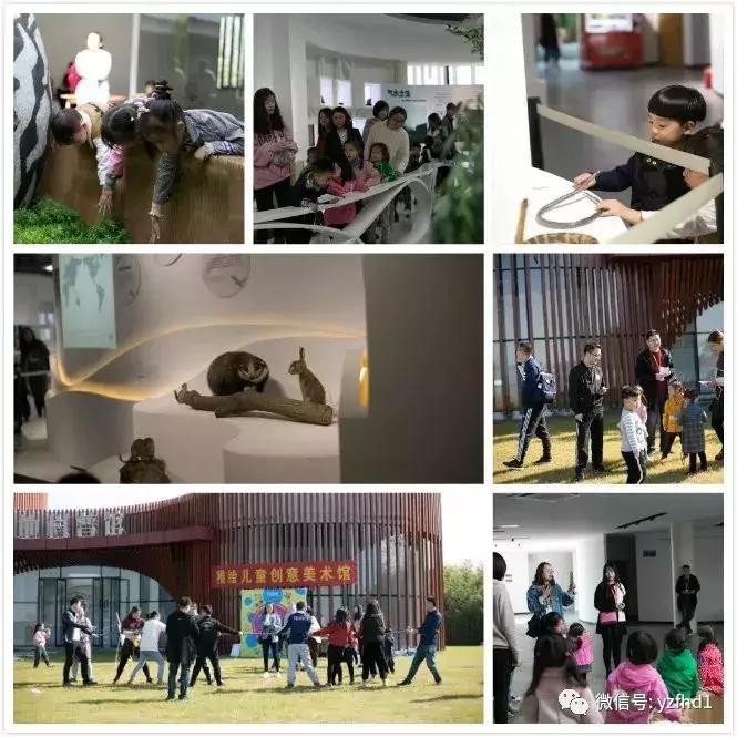 扬州中国风湿地公园,六月的扬州湿地公园