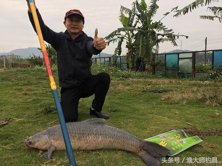 狼王钓青鱼,狼王鱼竿超轻超硬