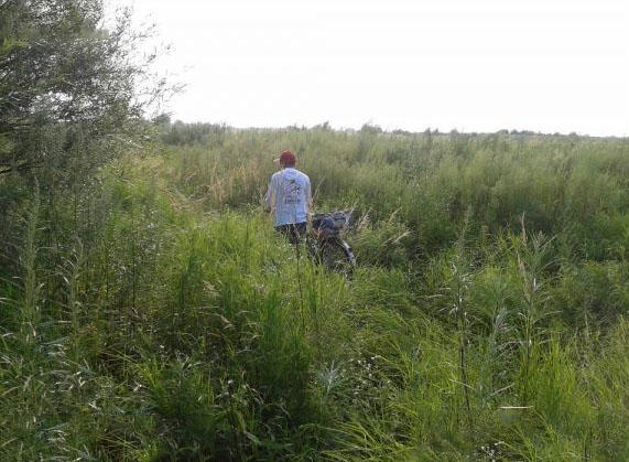 钓鲶鱼技术视频大全,钓野生鲶鱼绝招