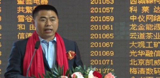 中国电商平台新模式有哪些,中国电商重构全球零售格局