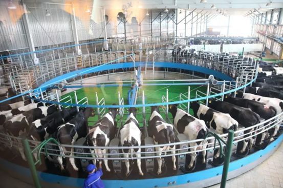 挺住了,国产奶粉现在的质量