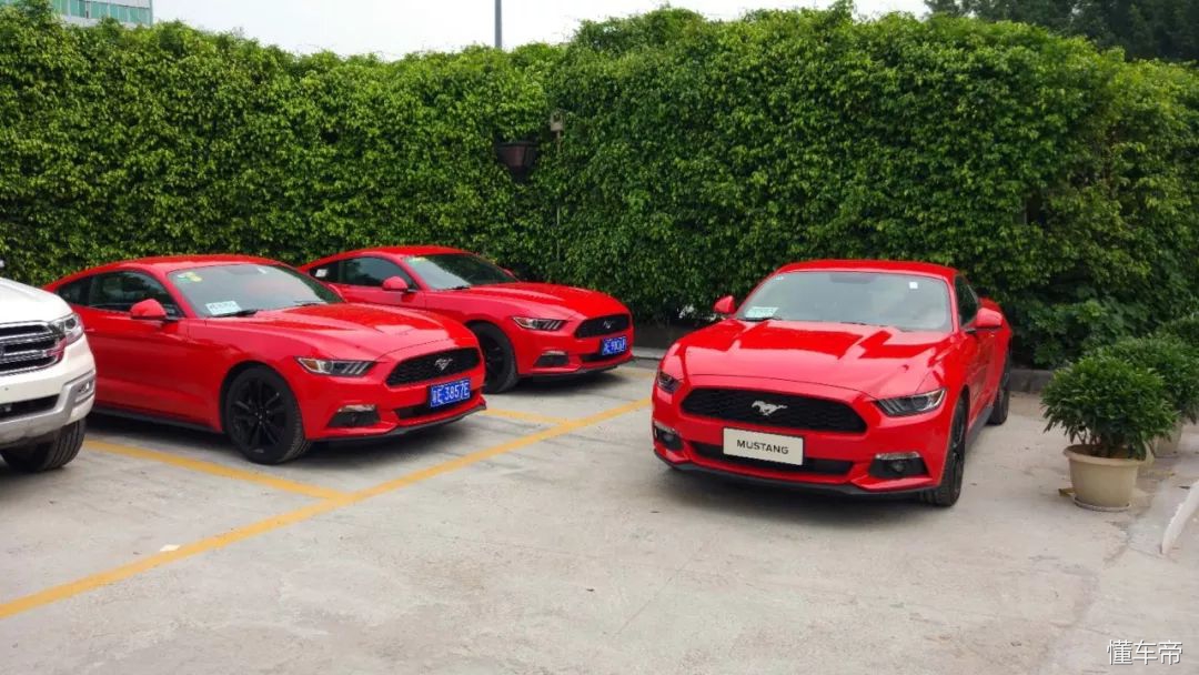 我用一包七星蓝莓爆珠的代价，发现了天猫自动售车大楼背后的秘密