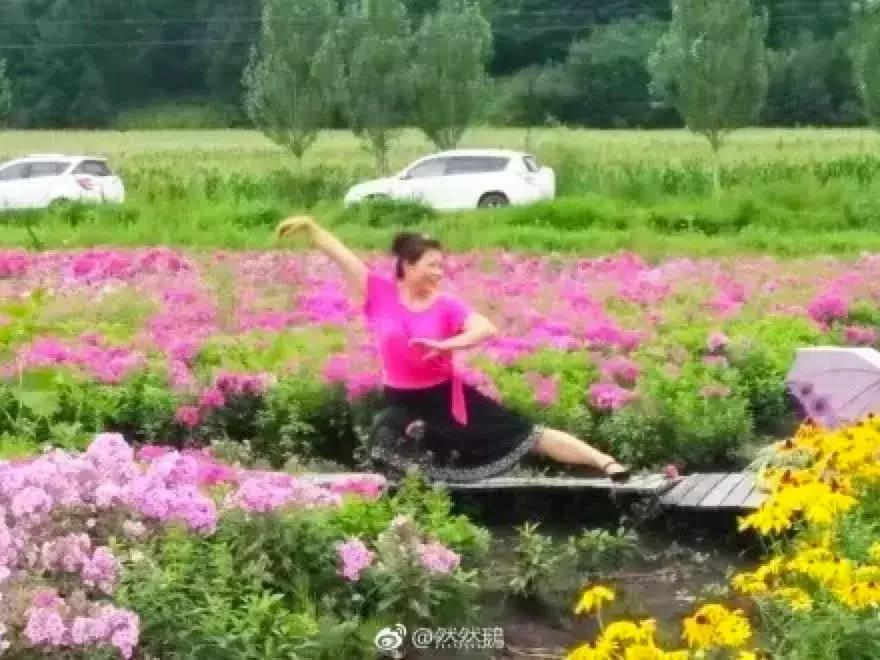 看完我妈拍的春游照片,我跟我爸都哭了……