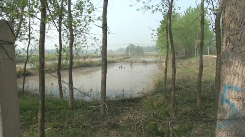 扬州北湖湿地公园规划图,扬州邗江区北湖湿地公园开放了吗