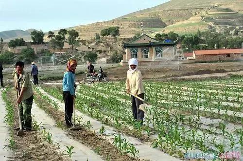 春耕春播面临的问题和建议,了解春耕的基础知识和技巧
