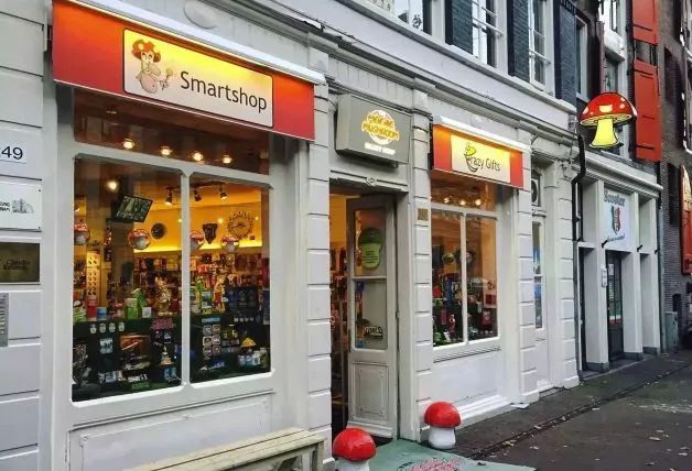 赌博、吸毒、嫖娼？带你重新认识荷兰这座“成人迪士尼”