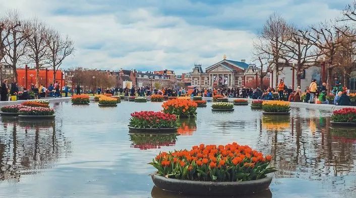 赌博、吸毒、嫖娼？带你重新认识荷兰这座“成人迪士尼”