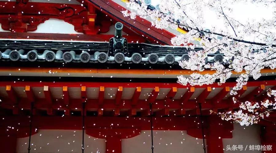 诗词丨你几月出生,就是哪种花,美到极致