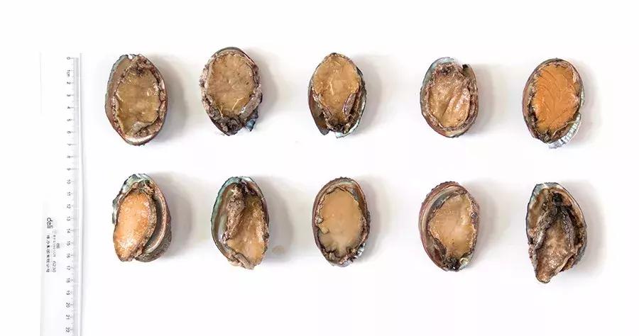 缃戜笂涔扮殑绮惧搧鐚倝,缃戜笂娣樺埌鐨勫ソ涓滆タ