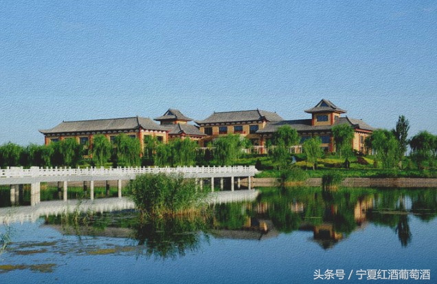 宁夏贺兰山东麓西夏王,宁夏农垦贺兰山种业有限公司