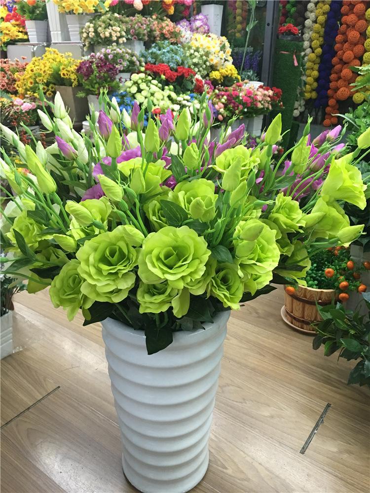 6种花开花时间,六种短命花