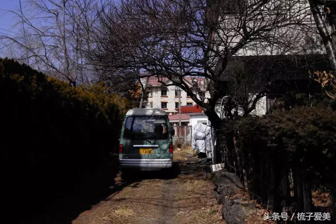 歌舞伎町温泉,日本歌舞伎町街旁24小时温泉