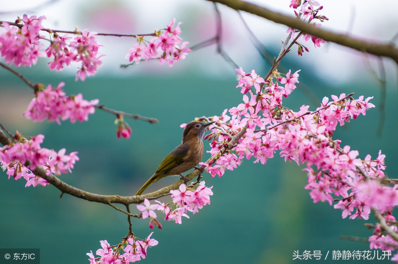 同甘共苦只能同甘不能共苦的图片,同甘共苦只能同甘不能共苦啥意思