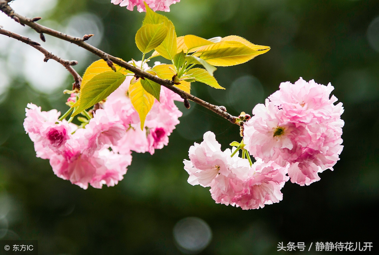 同甘共苦没有共苦何来的同甘,同甘共苦只能同甘不能共苦的图片