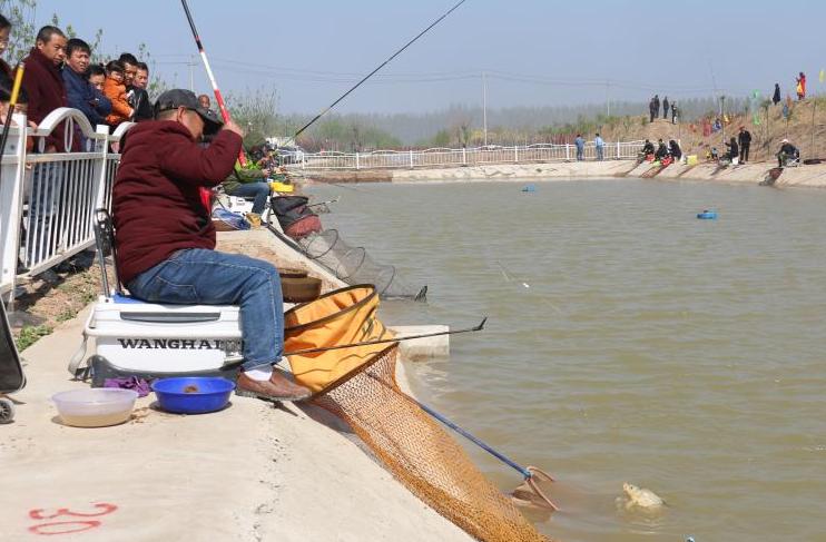 震撼千亩海棠绽芬芳,千亩海棠竞相开放