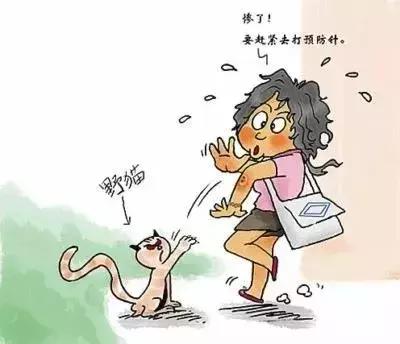 被狗狗咬了的所有方法,被家里的狗狗咬了轻微破皮怎么办