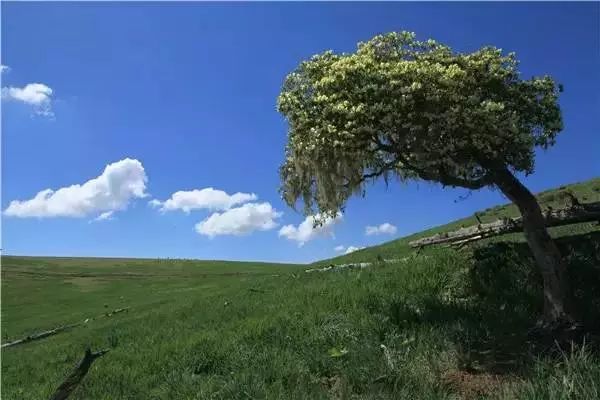 外地人不来丽江的10大理由！简直不能容忍……