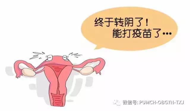 hpv疫苗要不要打协和医院,协和医院可以打乙肝疫苗吗