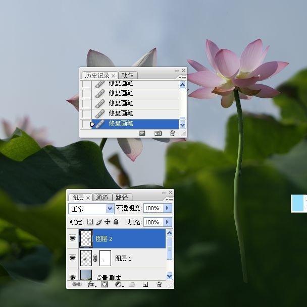 拍荷花用ps做成水墨画方法,ps怎样将拍的荷花p得漂亮免费教程