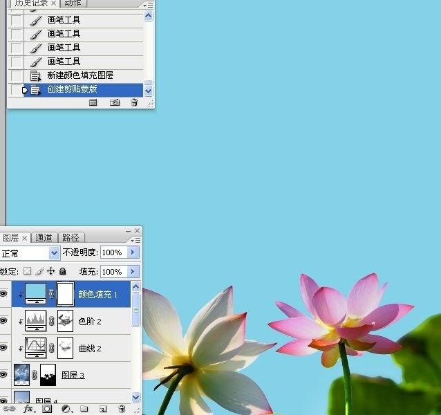 拍荷花用ps做成水墨画方法,ps怎样将拍的荷花p得漂亮免费教程