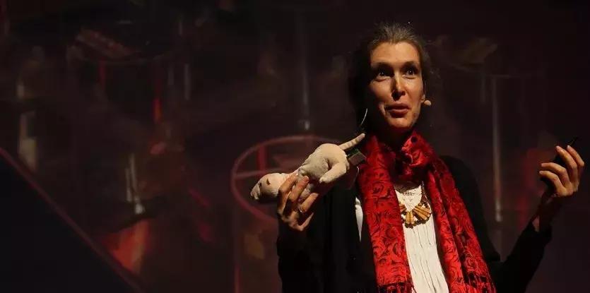 自愈能力最强的哺乳动物,唯一不会得癌症的哺乳动物