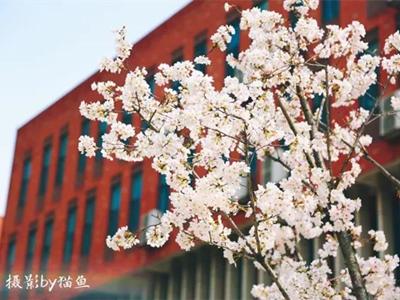 武汉外语外事职业学院周围环境,武汉外语外事职业学院等你来