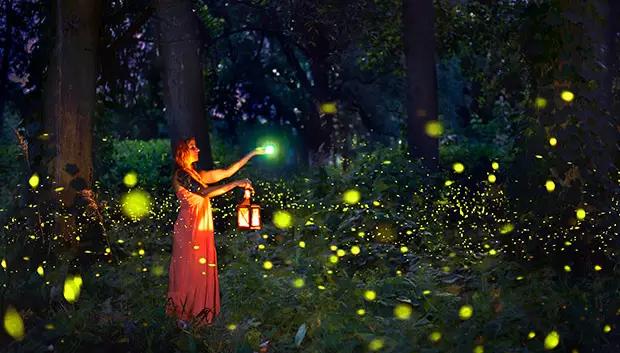 我想带你去看熟悉的风景,沙巴美景之旅