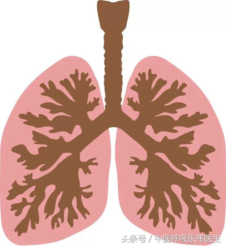 肺痿的分型及主治方剂,肺痿的由来和危害