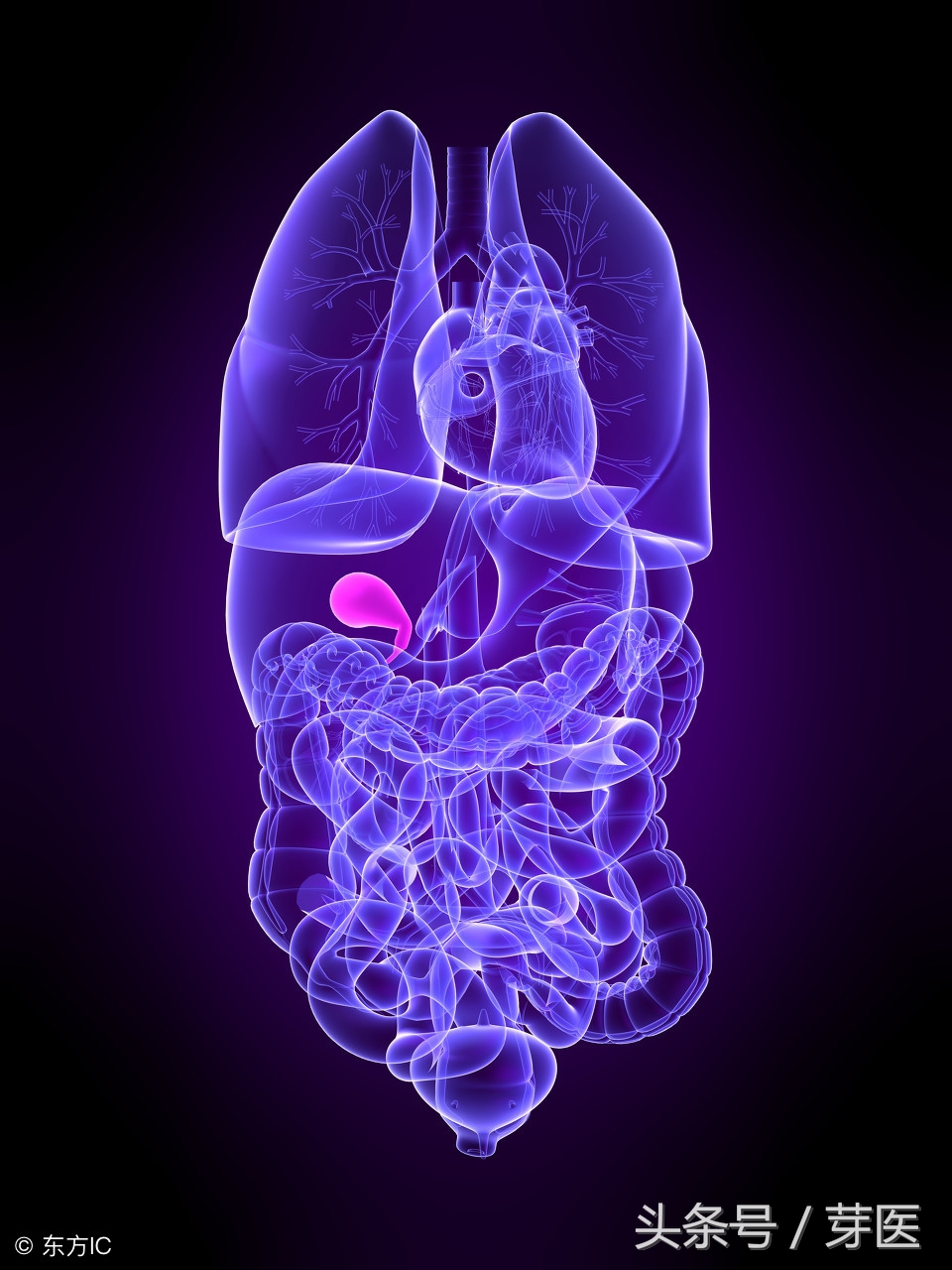 黄帝内经记载针所不及灸之所宜,黄帝内经之艾灸太溪穴