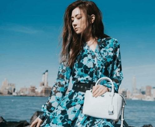 mk女包正品最新款杨幂同款,杨幂代言的mk包包