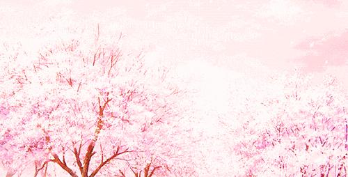 好看的樱花单品,这些少女心爆棚的樱花系美妆品