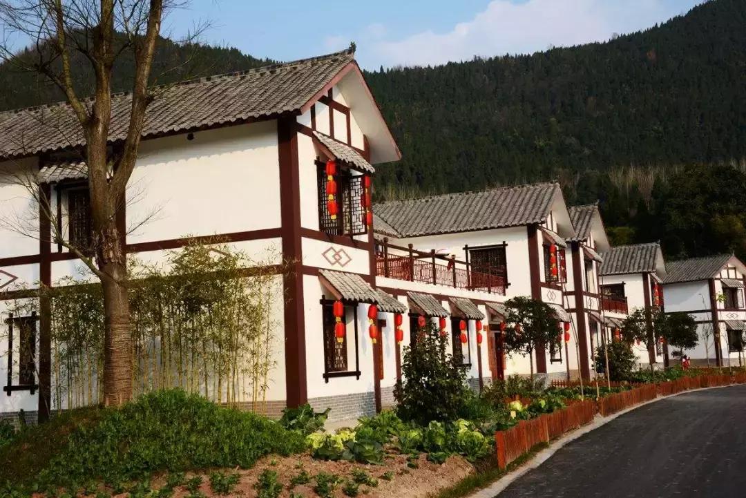 十四五川陕革命老区振兴发展规划,川陕革命老区振兴规划