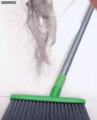 室内毛发清洁方法,家里地面毛发用什么方法去除
