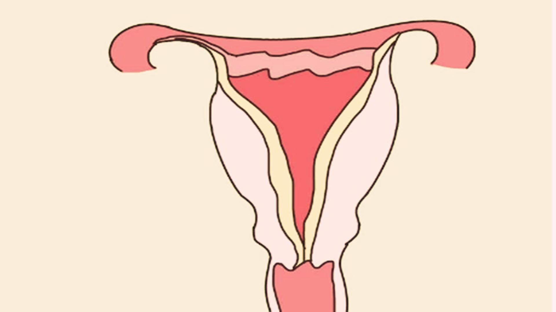 孕晚期怎么快速缩短宫颈管长度,宫颈管消失一半有什么征兆