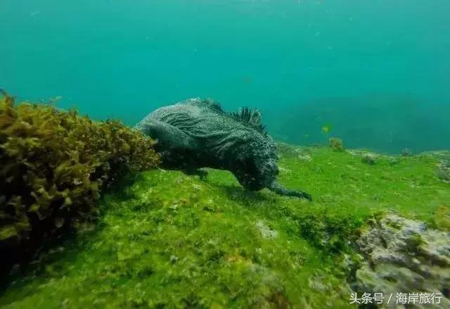 泰国9个最不能错过的美丽海岛,比普吉岛还美的度假天堂