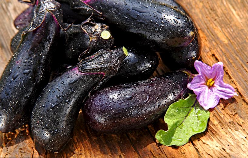 茄子选什么样的茄子,茄子一共有哪几种颜色