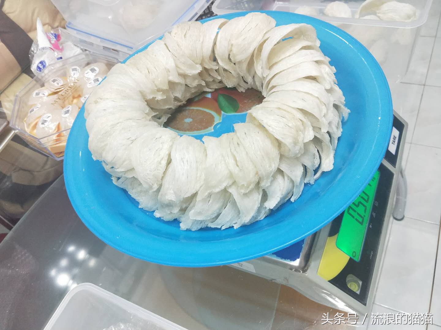 环游世界你最想干什么,环游世界后的现状