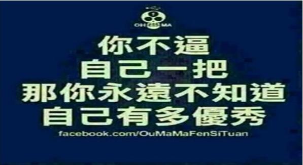 散户如何能在股市中稳定盈利,散户在股市中的成功方法