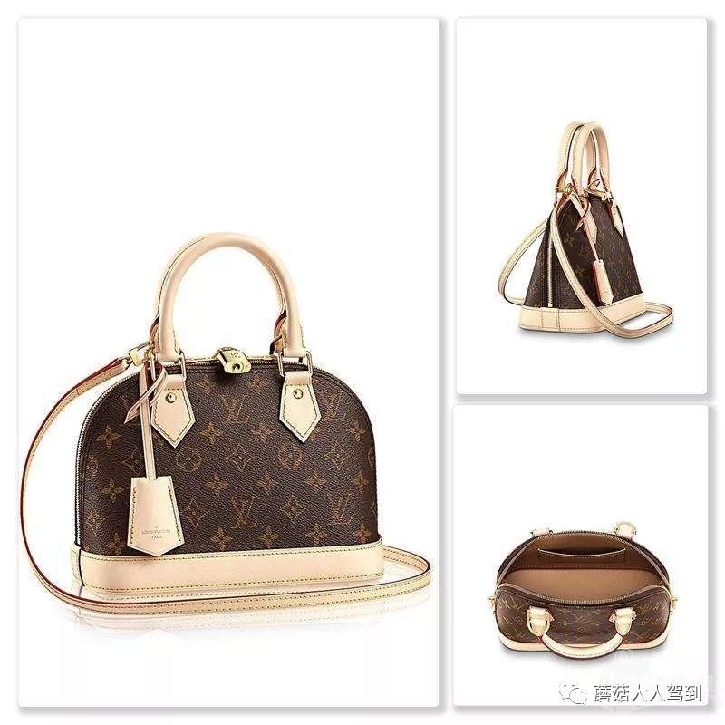 鍥藉璐墿鍥剧墖澶у叏,鍥藉璐墿鏁欑▼