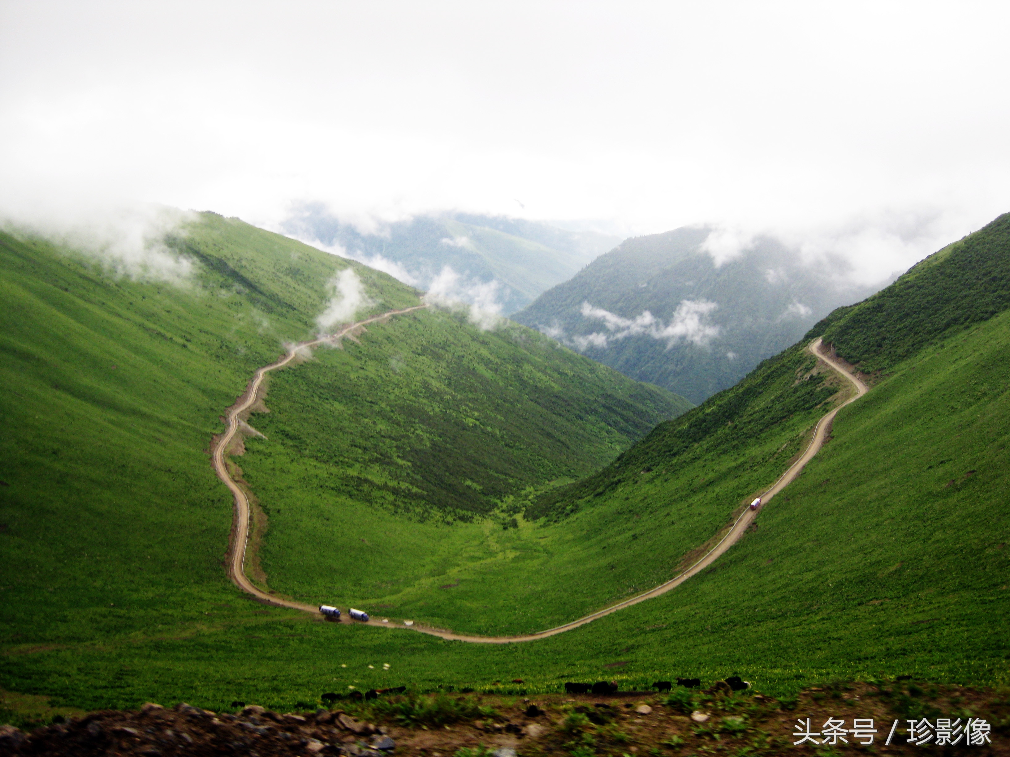 宏盛：天道酬勤，援建十年后羽化成蝶