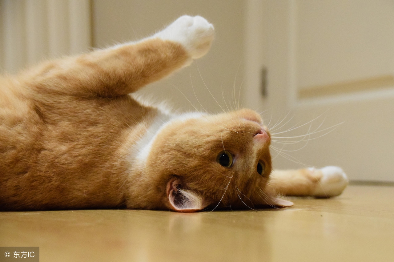 患上了高血压，还能愉快地滚床单吗？