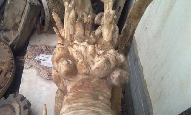 白手起家暴利小生意加盟,创业行业冷门但赚钱见效