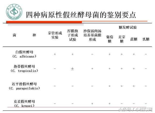 真菌微生物国标检测方法,微生物真菌检验