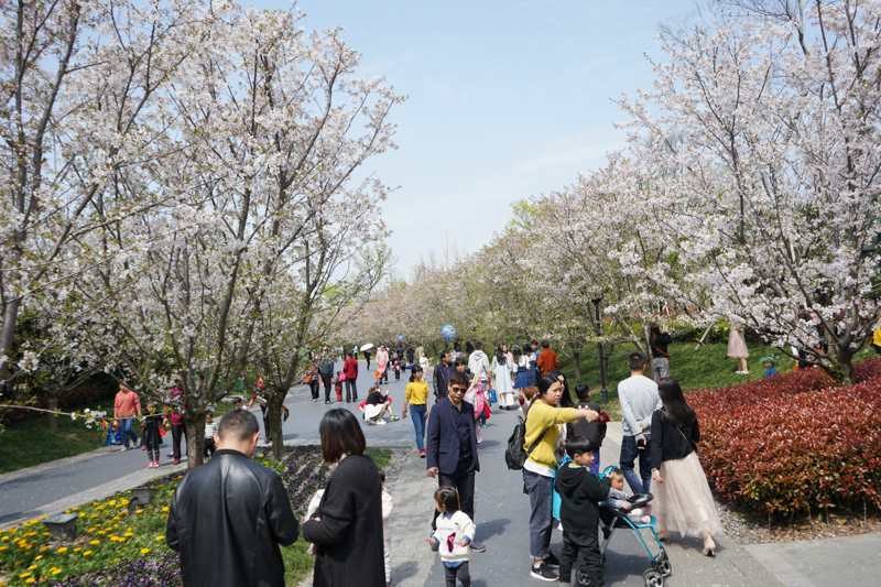 一个佳能*党**眼中的索尼A7M3,ILCE-7M3，索尼新款相机入手小评