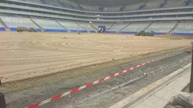 世界杯足球场草皮修复,世界杯球场草皮