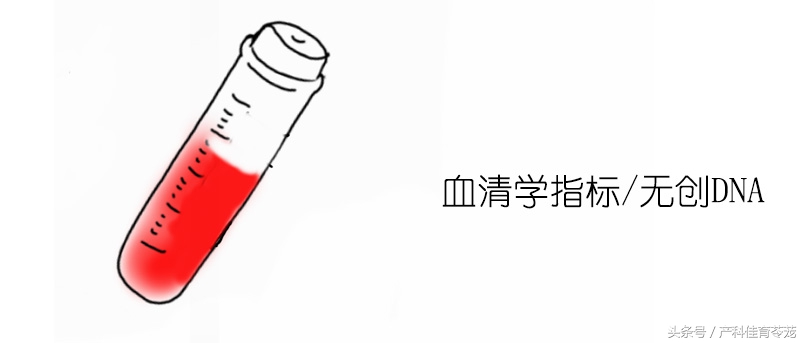 孕期肥胖吃什么食物,孕期要怎样预防发胖