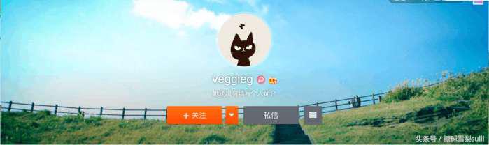 王菲为什么叫veggieg，艺人的微博名字究竟有什么深意